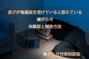 電磁波　息子　嫌がらせ被害