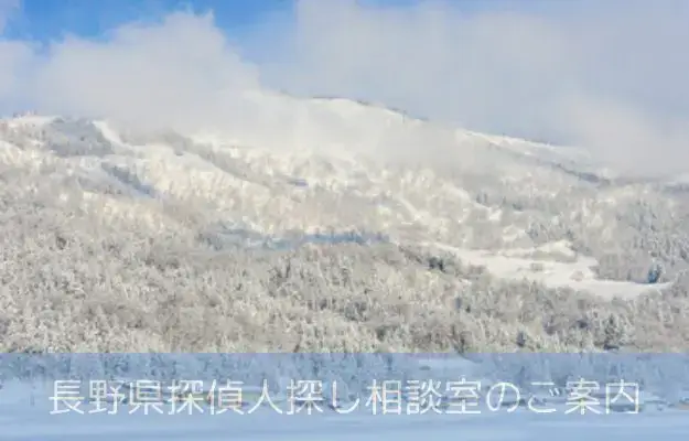 長野県で探偵に人探しを相談する料金を示すイメージ画像