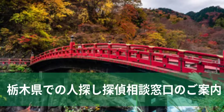 栃木県で探偵に人探しを相談する様子を示すイメージ資料